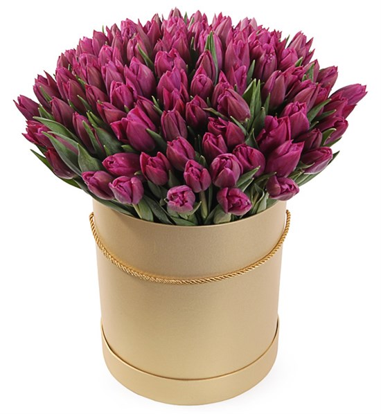 101 королевский тюльпан в коричневой коробке, пурпурные - фото 7834