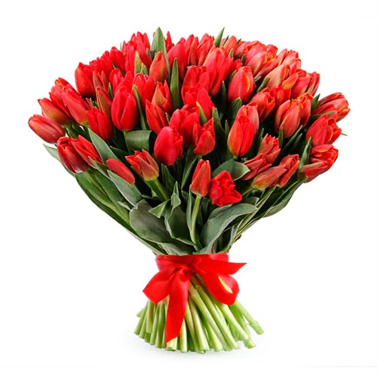 Букет 101 королевский тюльпан, красные - фото 7842