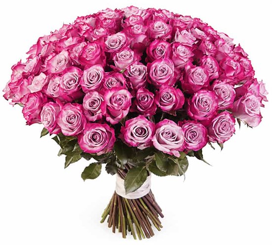 Букет 101 роза Дип Перпл - фото 7850