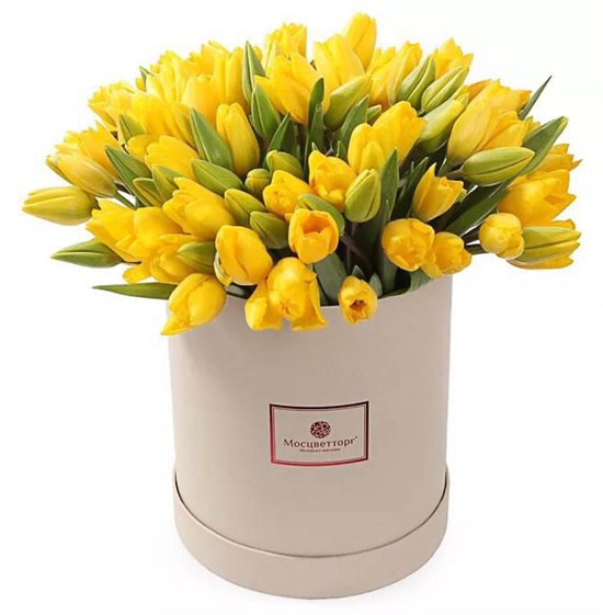 101 тюльпан в коробке, желтые - фото 7872