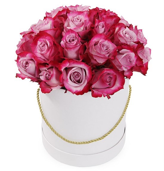 25 роз Дип Перпл в шляпной коробке - фото 7988