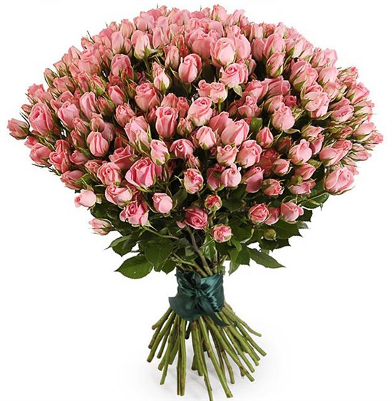 Букет 35 кустовых роз Одилия - фото 8142