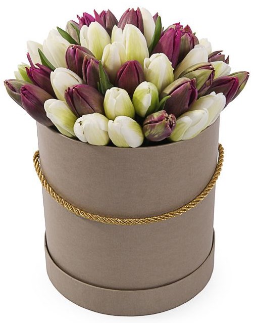 51 королевский тюльпан в коричневой коробке, бело-пурпурный микс - фото 8208