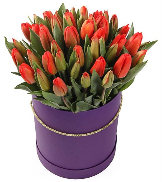 51 королевский тюльпан в коробке, красно-оранжевые - фото 8211