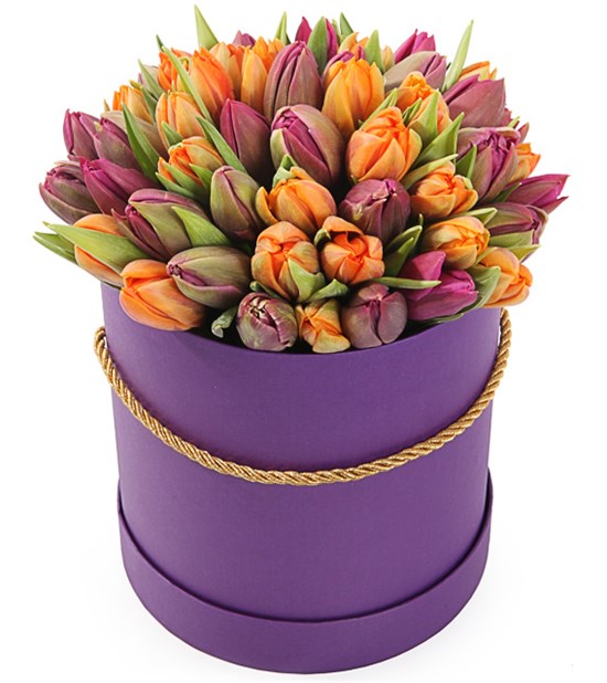 51 королевский тюльпан в коробке, оранжево-пурпурный микс - фото 8213