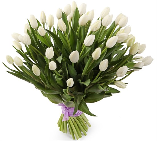 Букет 51 королевский тюльпан, белые - фото 8220
