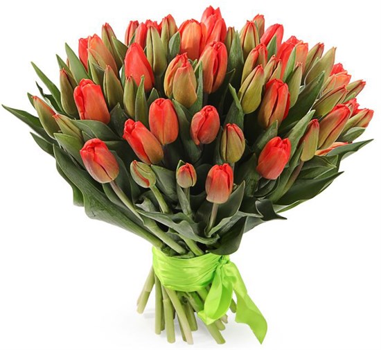 Букет 51 королевский тюльпан, красно-оранжевые - фото 8224
