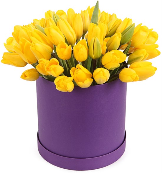 51 тюльпан в коробке, желтые - фото 8293