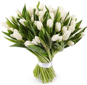 Букет 51 тюльпан, белые