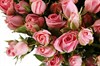 Букет 35 кустовых роз Одилия - фото 5836