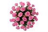 35 роз Аква в корзине - фото 5851