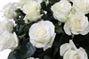 35 роз Мондиаль в корзине - фото 6011