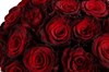 Букет 35 роз Ред Париж - фото 6053