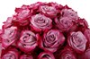 35 роз Дип Перпл в шляпной коробке - фото 6125
