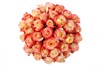 35 роз Кабаре в шляпной коробке - фото 6136