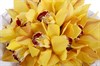 Букет из орхидей Ананасовое мороженое - фото 6253
