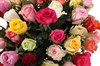 Букет Фламандская легенда 101 роза - фото 6349