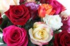 Букет Фламандская легенда 21 роза - фото 6353