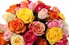 Фламандская легенда (51 роза) в коробке - фото 6365