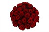 Букет из 25 красных роз Ред Париж - фото 6399