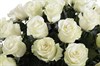 51 роза Мондиаль в корзине - фото 6410