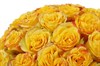 25 роз Хай Еллоу в шляпной коробке - фото 6438