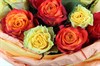 Букет 25 роз, желто-оранжевый микс - фото 6442