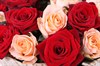 Букет 25 роз, красно-кремовый микс - фото 6445