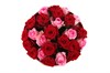 Букет 25 роз, красно-розовый микс - фото 6446