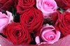 Букет 25 роз, красно-розовый микс - фото 6447