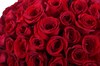 101 роза Фридом в шляпной коробке - фото 6457