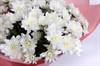 Букет 15 белых кустовых хризантем - фото 6461