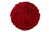 101 красная роза в шляпной коробке - фото 6472