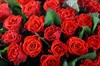 Букет 101 красная роза - фото 6475