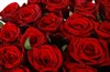 Букет 21 красная роза 60/70 см - фото 6487