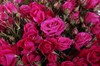 Букет 51 кустовая роза Алисия - фото 6539