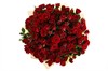 Букет 51 кустовая роза Мирабель - фото 6542