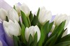 Букет 25 тюльпанов, белые - фото 6557