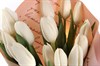Букет 15 тюльпанов Слова любви, белые - фото 6582