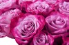 Букет 35 роз Дип Перпл - фото 6603
