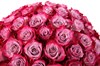 51 роза Дип Перпл в шляпной коробке - фото 6800