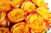 101 роза Хай Еллоу в шляпной коробке - фото 6890
