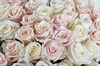Букет 101 роза, белый микс - фото 6898