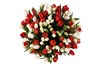Букет 101 тюльпан, красно-белый микс - фото 6907