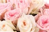 Букет 25 роз, бело-розовый микс - фото 6939