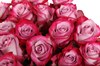 Букет 31 роза Дип Перпл - фото 6943