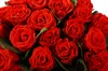 Букет 25 красных роз, 50 см - фото 6973