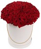101 красная роза в шляпной коробке - фото 7844