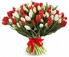 Букет 101 тюльпан, красно-белый микс - фото 7879