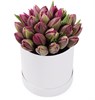 25 королевских тюльпанов в коробке, пурпурные - фото 7979